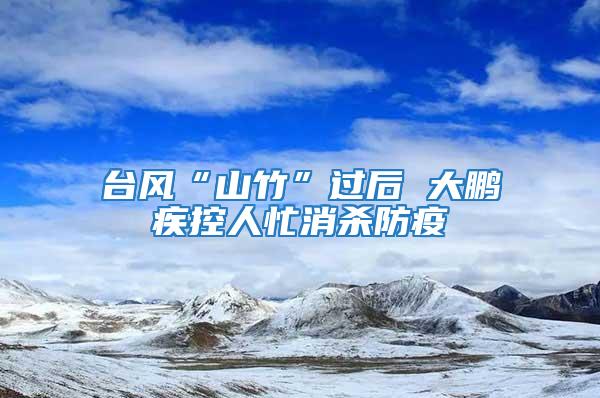 臺(tái)風(fēng)“山竹”過(guò)后 大鵬疾控人忙消殺防疫