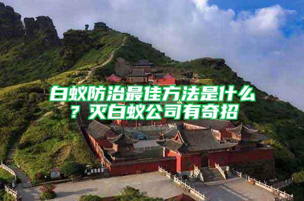 白蟻防治最佳方法是什么？滅白蟻公司有奇招