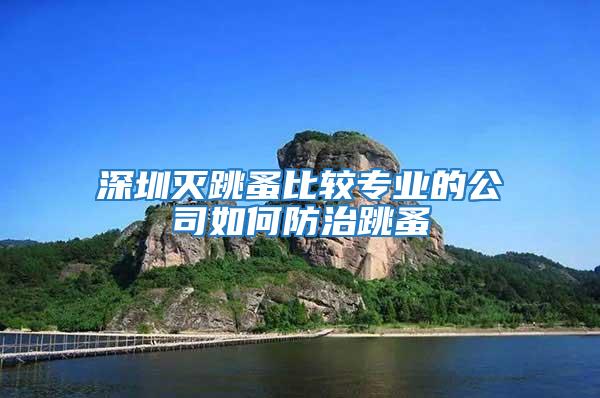 深圳滅跳蚤比較專業(yè)的公司如何防治跳蚤