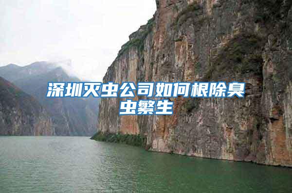 深圳滅蟲(chóng)公司如何根除臭蟲(chóng)繁生