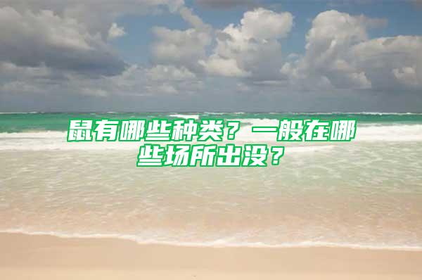 鼠有哪些種類？一般在哪些場所出沒？