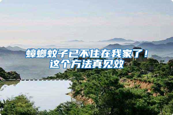 蟑螂蚊子已不住在我家了！這個方法真見效