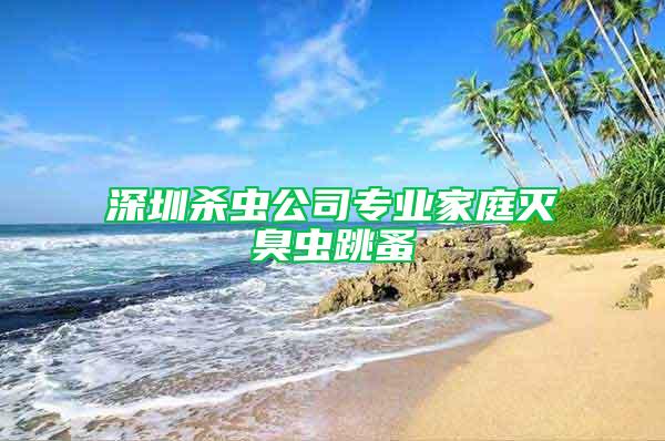 深圳殺蟲公司專業(yè)家庭滅臭蟲跳蚤