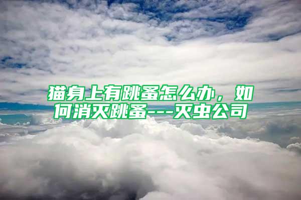 貓身上有跳蚤怎么辦，如何消滅跳蚤---滅蟲公司