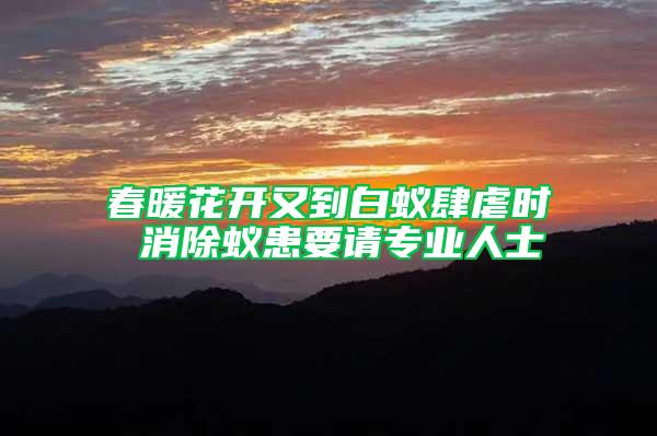 春暖花開又到白蟻肆虐時 消除蟻患要請專業(yè)人士