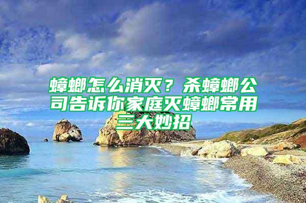 蟑螂怎么消滅？殺蟑螂公司告訴你家庭滅蟑螂常用三大妙招