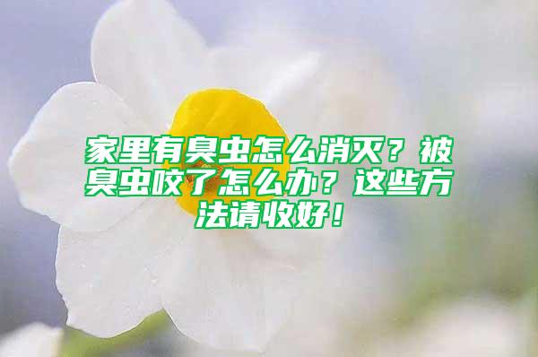 家里有臭蟲怎么消滅？被臭蟲咬了怎么辦？這些方法請收好！