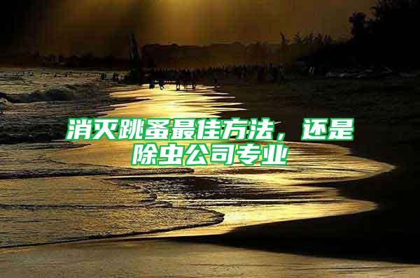 消滅跳蚤最佳方法，還是除蟲公司專業