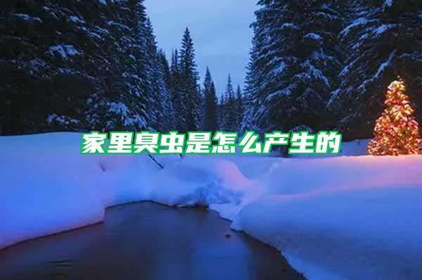 家里臭蟲是怎么產生的