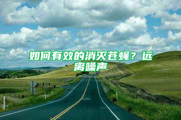 如何有效的消滅蒼蠅？遠離噪聲