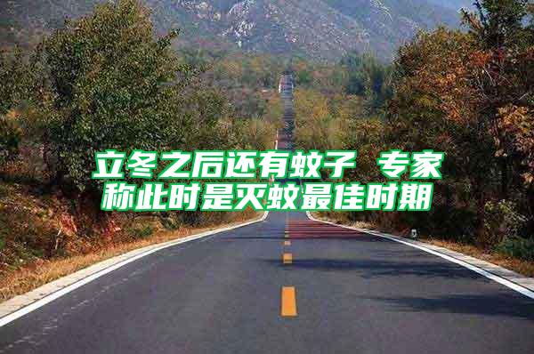 立冬之后還有蚊子 專家稱此時是滅蚊最佳時期
