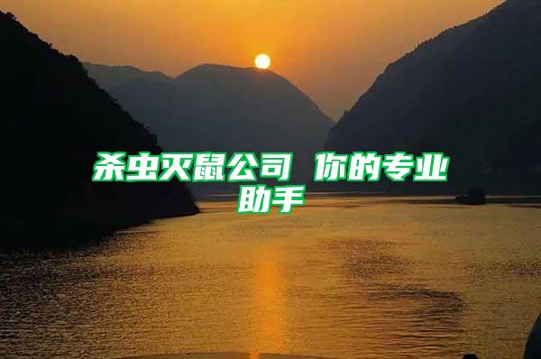 殺蟲滅鼠公司 你的專業助手
