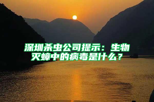 深圳殺蟲公司提示：生物滅蟑中的病毒是什么？