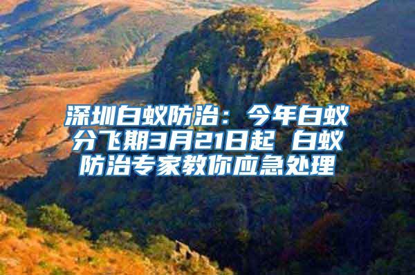 深圳白蟻防治：今年白蟻分飛期3月21日起 白蟻防治專家教你應急處理