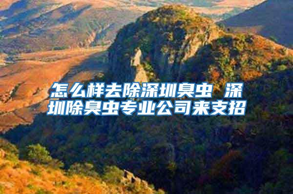怎么樣去除深圳臭蟲 深圳除臭蟲專業公司來支招