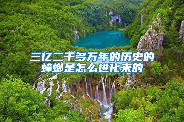 三億二千多萬年的歷史的蟑螂是怎么進化來的