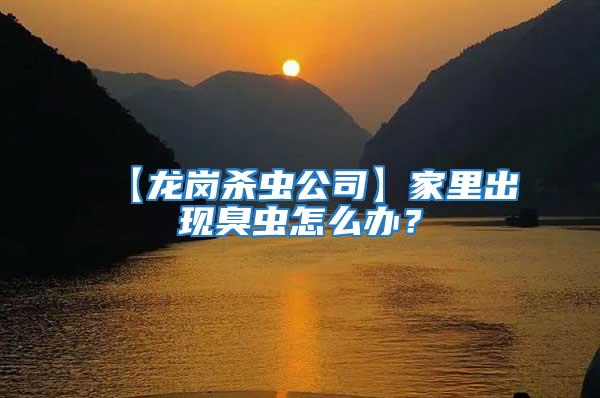 【龍崗殺蟲公司】家里出現臭蟲怎么辦？