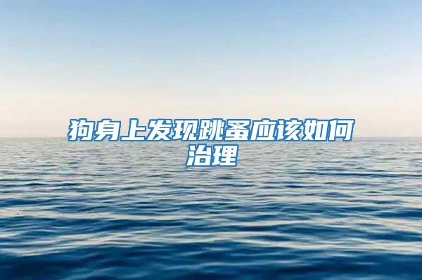 狗身上發(fā)現(xiàn)跳蚤應(yīng)該如何治理