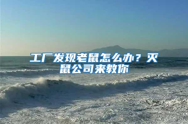 工廠發現老鼠怎么辦？滅鼠公司來教你