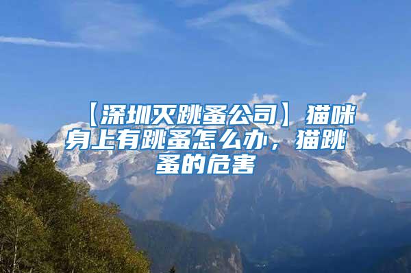 【深圳滅跳蚤公司】貓咪身上有跳蚤怎么辦，貓?zhí)榈奈：?/></p>
             <p style=