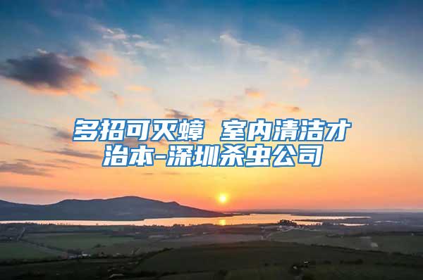多招可滅蟑 室內清潔才治本-深圳殺蟲公司