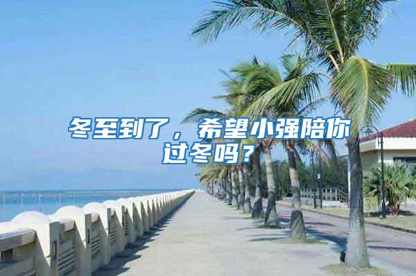 冬至到了，希望小強陪你過冬嗎？