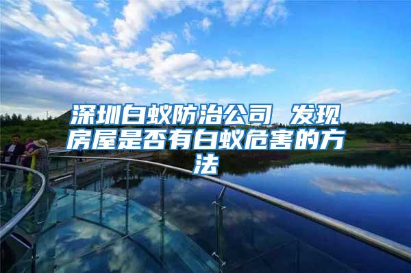 深圳白蟻防治公司 發現房屋是否有白蟻危害的方法