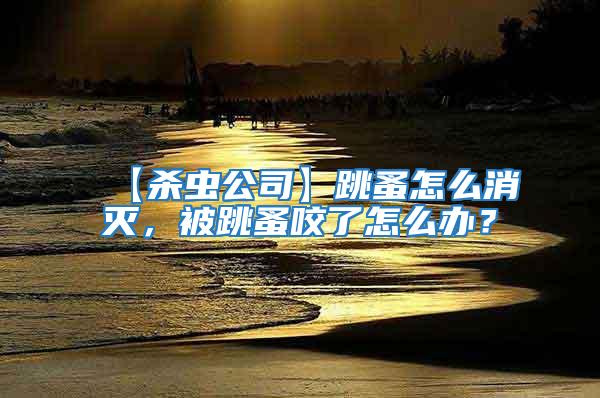 【殺蟲公司】跳蚤怎么消滅，被跳蚤咬了怎么辦？