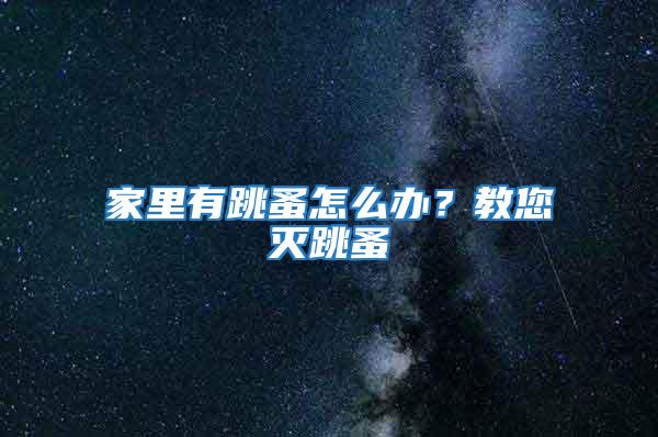 家里有跳蚤怎么辦？教您滅跳蚤