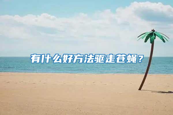有什么好方法驅走蒼蠅？