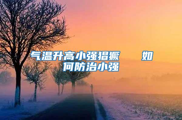 氣溫升高小強猖獗   如何防治小強