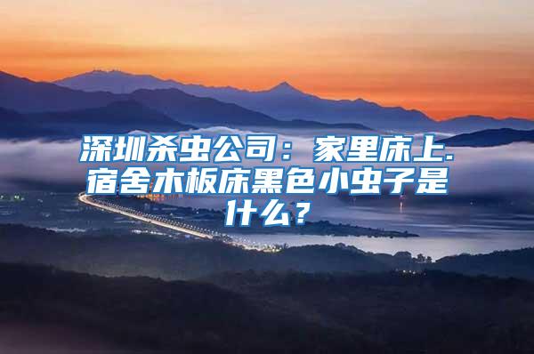 深圳殺蟲公司：家里床上.宿舍木板床黑色小蟲子是什么？