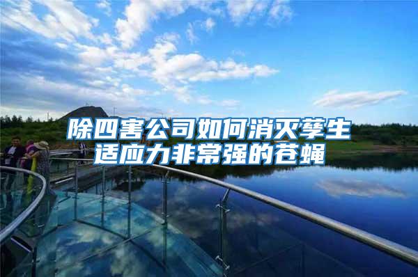 除四害公司如何消滅孳生適應力非常強的蒼蠅