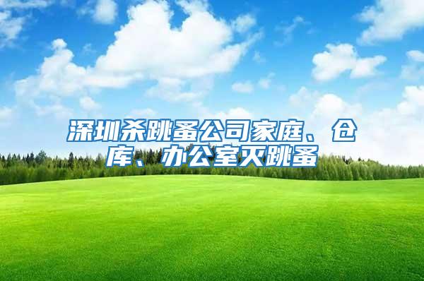 深圳殺跳蚤公司家庭、倉庫、辦公室滅跳蚤
