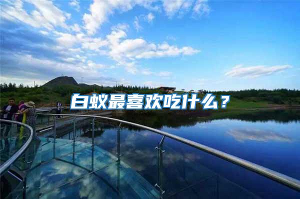 白蟻最喜歡吃什么？