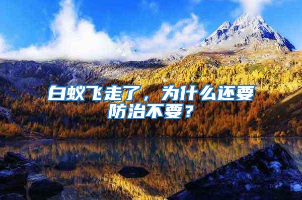 白蟻飛走了，為什么還要防治不要？