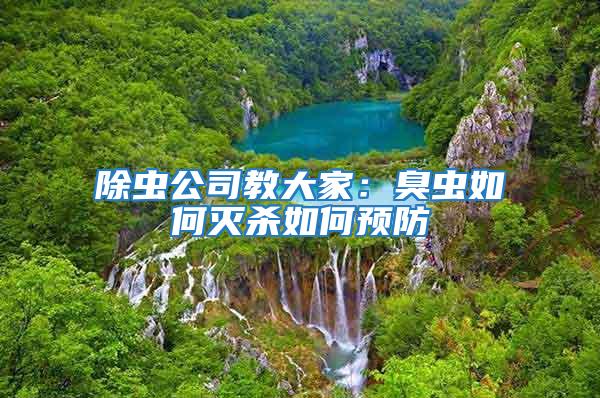 除蟲公司教大家：臭蟲如何滅殺如何預防