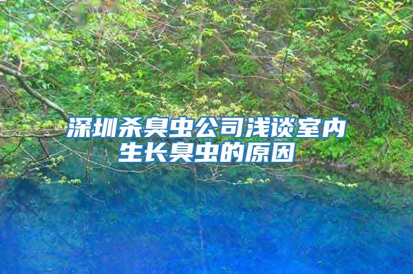 深圳殺臭蟲(chóng)公司淺談室內(nèi)生長(zhǎng)臭蟲(chóng)的原因