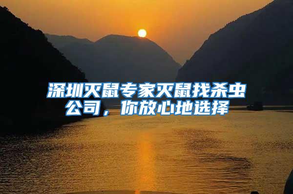 深圳滅鼠專家滅鼠找殺蟲公司，你放心地選擇
