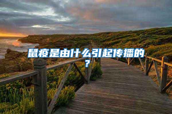 鼠疫是由什么引起傳播的？