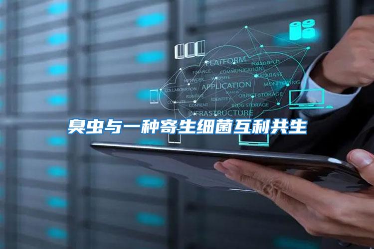 臭蟲與一種寄生細菌互利共生