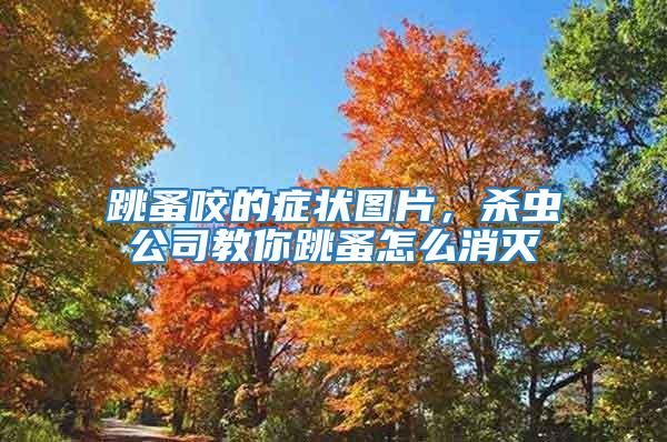 跳蚤咬的癥狀圖片，殺蟲公司教你跳蚤怎么消滅