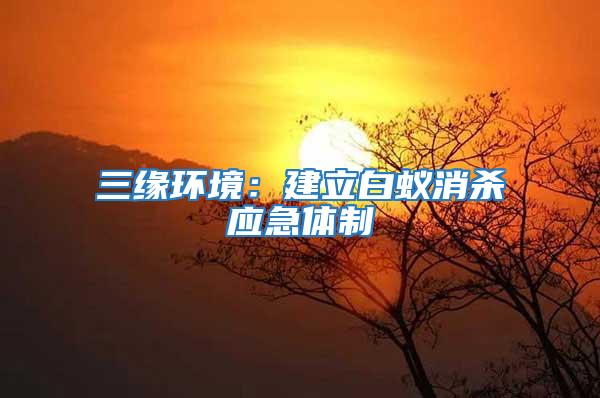 三緣環境：建立白蟻消殺應急體制