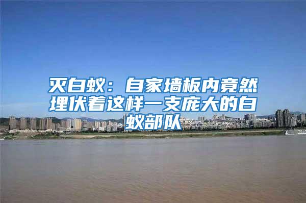 滅白蟻：自家墻板內竟然埋伏著這樣一支龐大的白蟻部隊