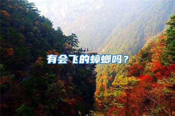 有會飛的蟑螂嗎？
