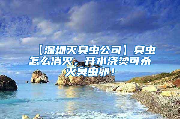 【深圳滅臭蟲公司】臭蟲怎么消滅，開水澆燙可殺滅臭蟲卵！