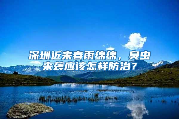 深圳近來春雨綿綿，臭蟲來襲應該怎樣防治？