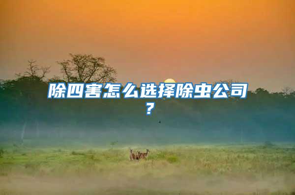除四害怎么選擇除蟲公司？