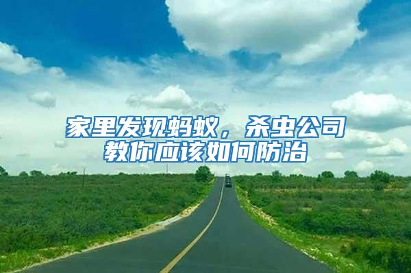 家里發(fā)現(xiàn)螞蟻，殺蟲公司教你應(yīng)該如何防治
