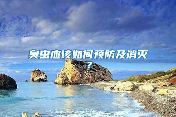 臭蟲應該如何預防及消滅？